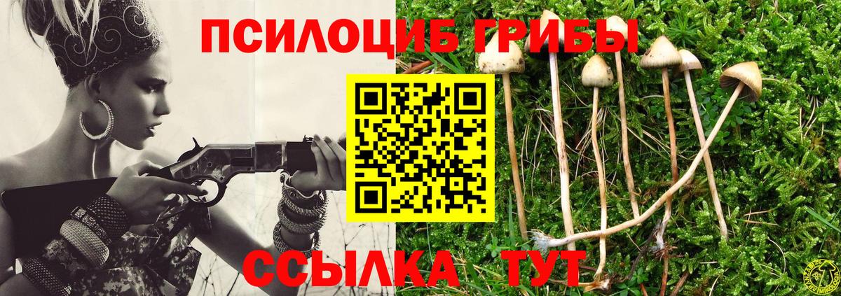 Псилоцибиновые грибы Psilocybe Советский
